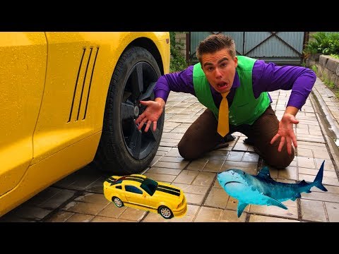 Shark VS Fisherman Mr. Joe in POOL w/ Seigneur Orange & Red Man Broke Windshield Lambo for Kids