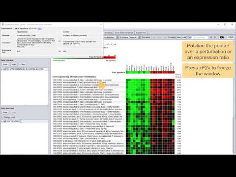 GENEVESTIGATOR® Signature tool