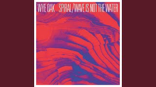 Wave Is Not the Water
