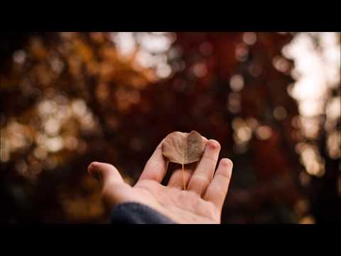 The Watanabes- Katsudon