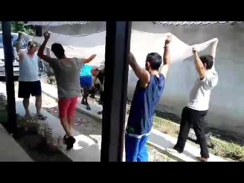 La filmari an jud giurgiu la novaci