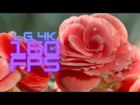 LG TV 4K HDR 160 FPS VIDEO
