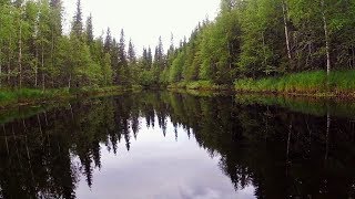 Рыбалка и сплавы по таежным рекам