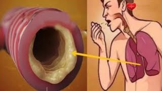 Akciğerlerinizi nikotin ve zararlı maddelerden temizleyin ve öksürmeyi bırakın.