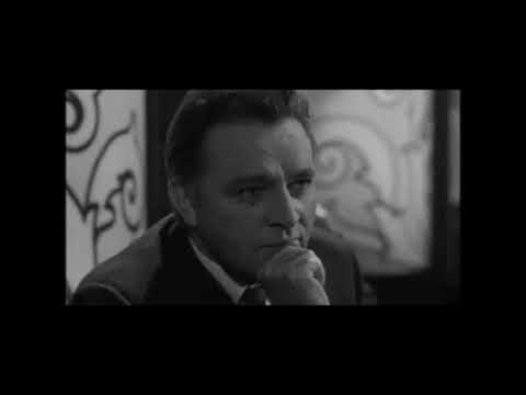 MEETING IN PUSSY WILLOW-THE SPY WHO CAME IN FROM THE COLD