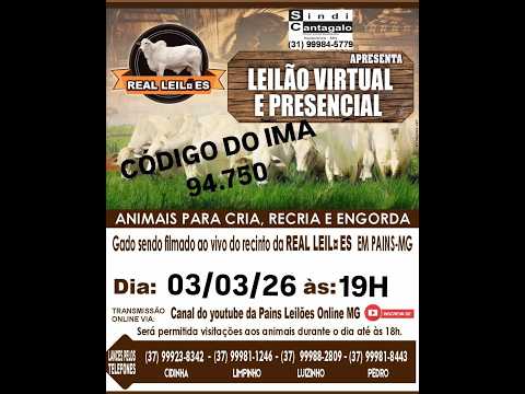 141º Leilão Virtual - Real Leilões - Pains MG