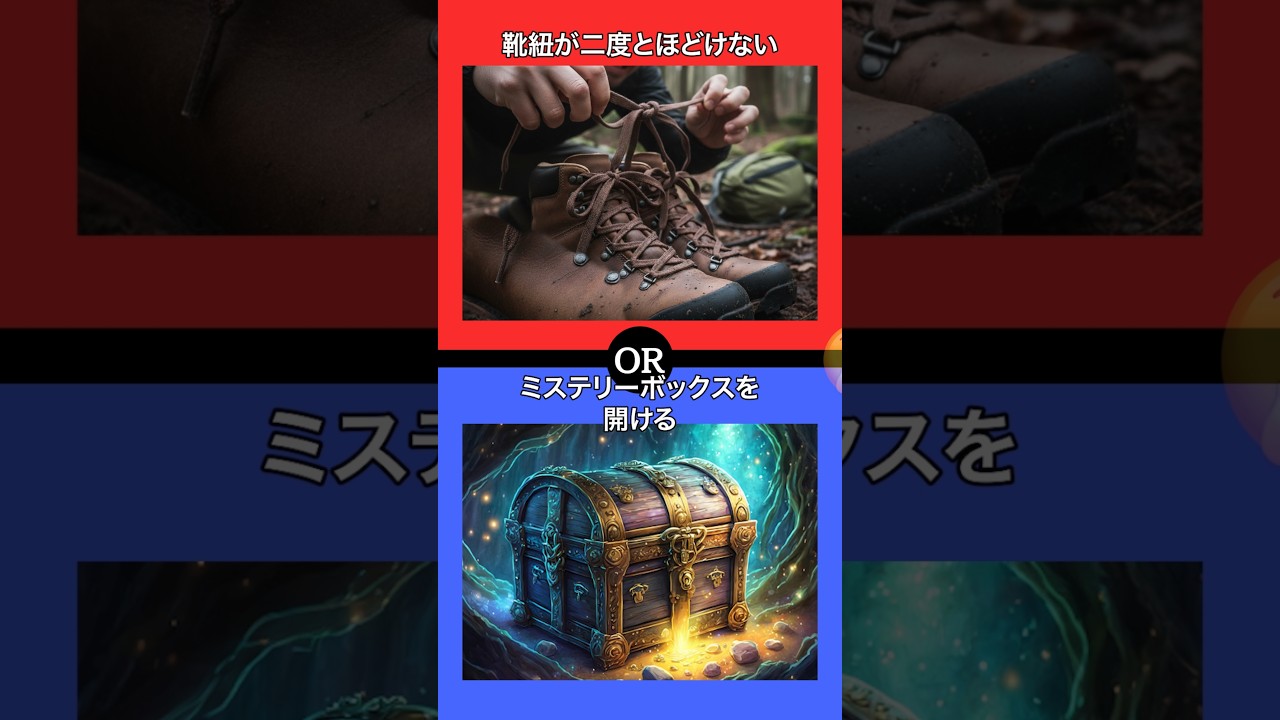 あなたはどちらを選びますか？