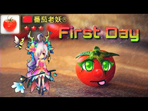 TOMATOS First Day in Special League ft. FELLERIA - Summoners War