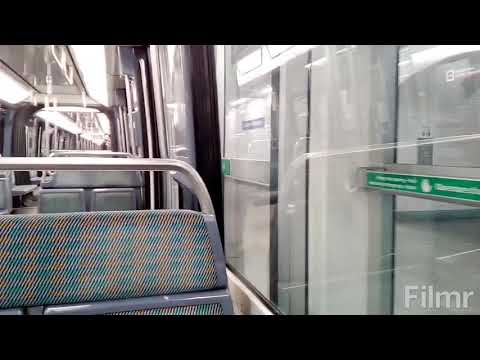 Quarantine in Paris.