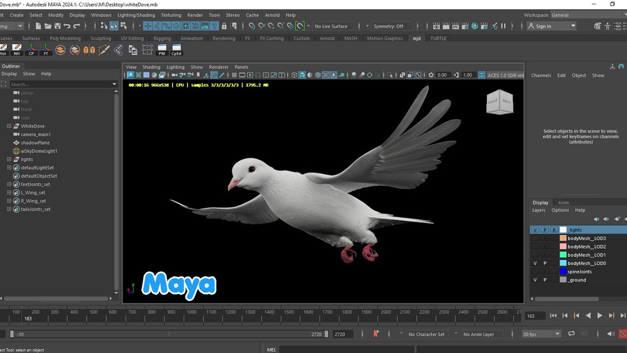 Realistic Animated White Dove Low-poly 3D Model