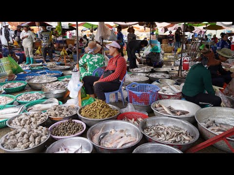 Cambodian Fish Market Day @Kilo 9 - Amazing Site Distribute Alive Fish, Rural Fish & More Seafood