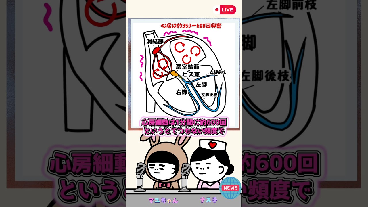 ＃AF＃心房細動＃房室結節の減衰伝導