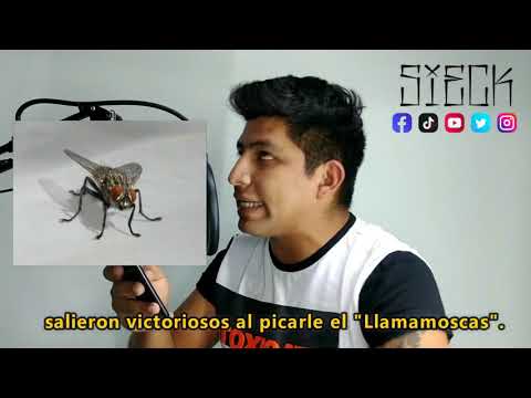 "LA PICADA DE K0LA" (RAP) - #SIECK ALEX GARCIA 2020