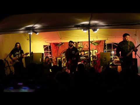 the offenders - i fought the law (sonny curtis), live, weihnachtSKAmarkt 2023, blücherpark, dortmund