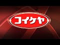 Japan Logos Part 11 12