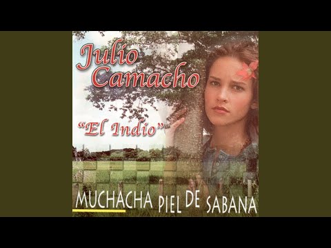 Pajarillo Canta Y Vuela