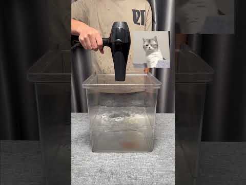 High Speed Hair Dryer VS. Traditional Hair Dryer. Let see who is the game changer?