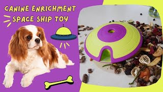 Fun and Interactive Dog Enrichment Toys: Spotlight on the Treat Maze Spaceship Food Puzzle Toy!