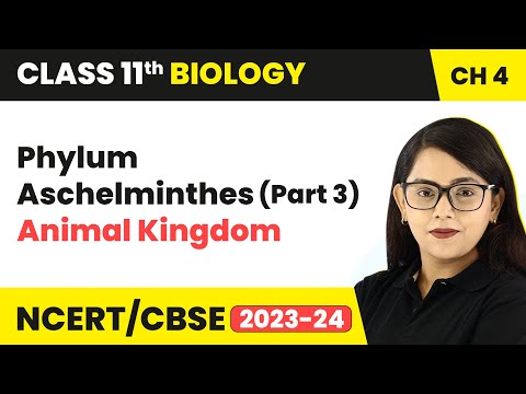 Phylum Aschelminthes (Part 3) - Animal Kingdom | Class...