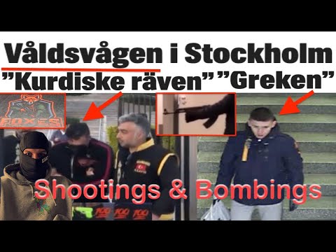 GANGWAR IN SWEDEN (Reaction)