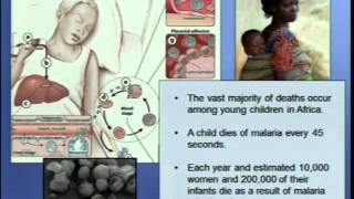 Demystifying Medicine 2014 - Malaria: Origin and Advances in the World's Major Killer