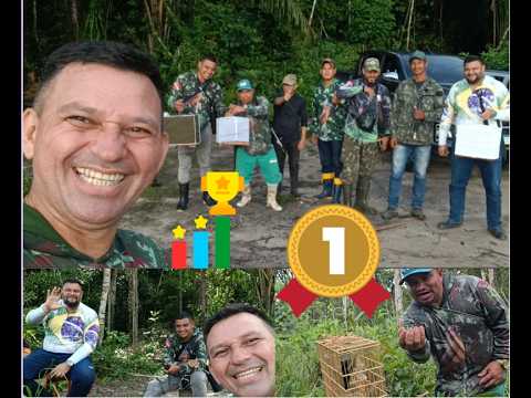 Armada de Curió em Tucuruí e Breu Branco-PARÁ..!
