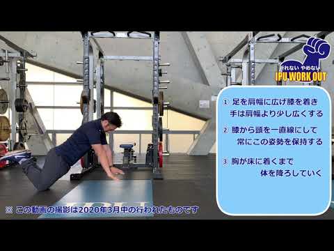 体育学科 IPU Workout プッシュアップジャンプ