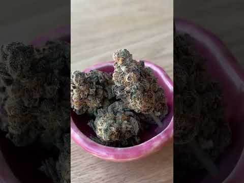 💚 Co zrobić, kiedy zjesz za dużo na gastrofazie?