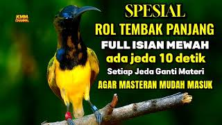 Download lagu Dijamin mudah masuk‼️ Masteran sogon full isian tembakan mp3 Download lagu Dijamin mudah masuk‼️ Masteran sogon full isian tembakan mp3