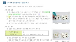 [초등과학 4-1 무료강의] 3. 식물의 한살이 ③ 씨가 싹 트는 데 어떤 조건이 필요할까요?