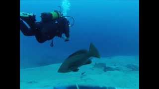 preview picture of video 'Tauchen mit Acuarios Jandia und Deep Blue Caleta De Fuste'