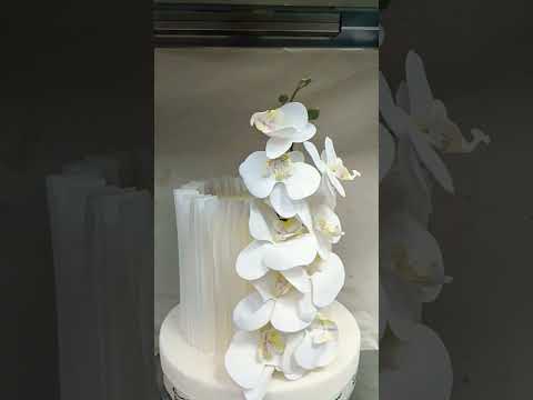 #saikat #cakedecorating #plz_subscribe_my_channel #cake #newcakedecoration