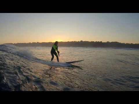 Sunbutter | Golden Surf