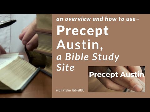 Austin Precept