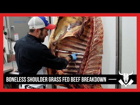 Beef Breakdown - Boneless Shoulder - Grass Fed - Carcass Breakdown