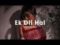 Ek Dil Hai Slowed Reverb Ek Rishtaa Akshay Kumar Karisma Kapoor Hindi Romantic Song