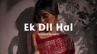 Download lagu Ek Dil Hai - [Slowed Reverb] Ek Rishtaa | Akshay Kumar, Karisma Kapoor | Hindi Romantic Song mp3