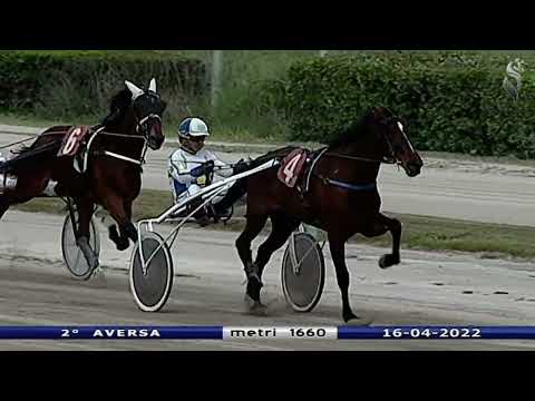 Aversa trotto 16 Aprile 2022 - 2° Corsa