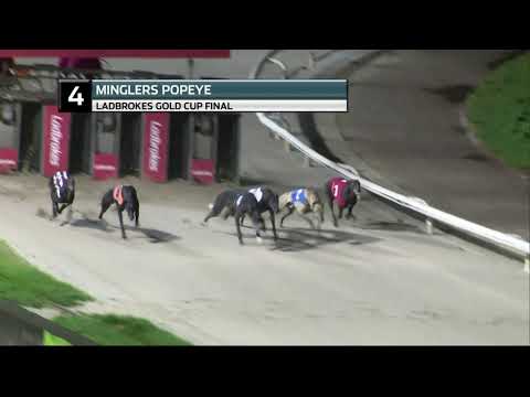 2021 LADBROKES GOLD CUP FINAL - T4 MINGLERS POPEYE