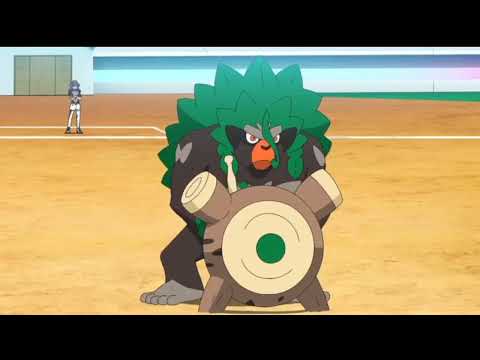 Leon revealed his Rillaboom