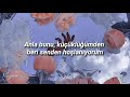 Lana Del Rey Meet Me In The Pale Moonlight Türkçe Çeviri