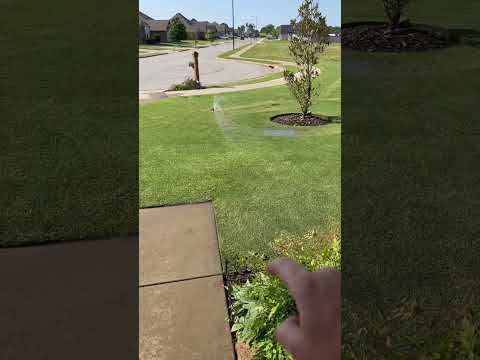 The Smartest Sprinkler Known to Man