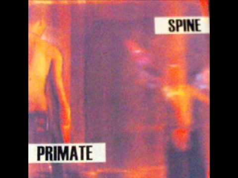 Primate - Infecting Society