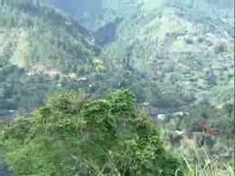 The ROAD THROUGH THE BLUE MOUNTAINS OF JAMAICA