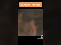 Random memes I found on TikTok pt.6