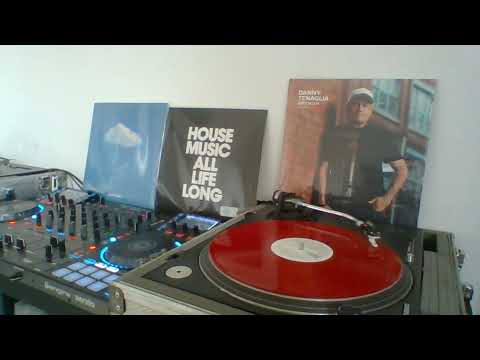 Danny Tenaglia ft Cevin Fisher - Move That Body (vinyl RIP)