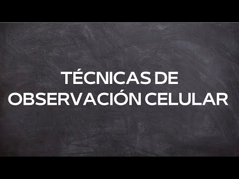 TÉCNICAS DE OBSERVACIÓN CELULAR| Biología Celular | grupo 3