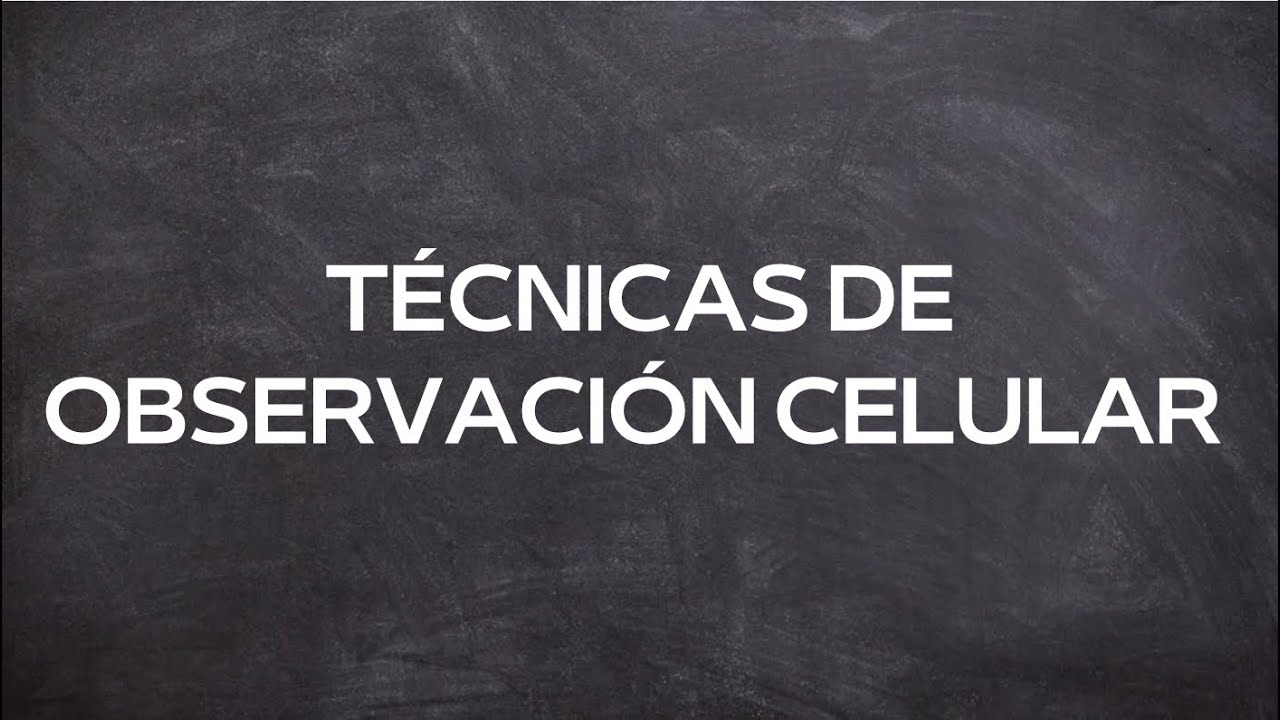 TÉCNICAS DE OBSERVACIÓN CELULAR| Biología Celular | grupo 3