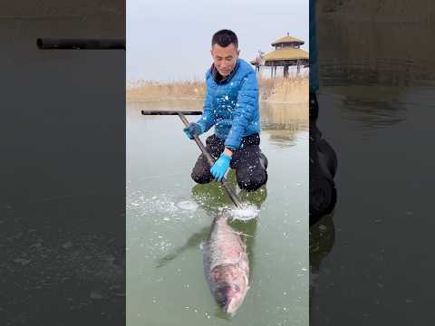 Oggi devo catturare questo pesce grosso