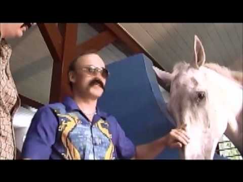 Sarnie Żniwo - Koń Andrzej